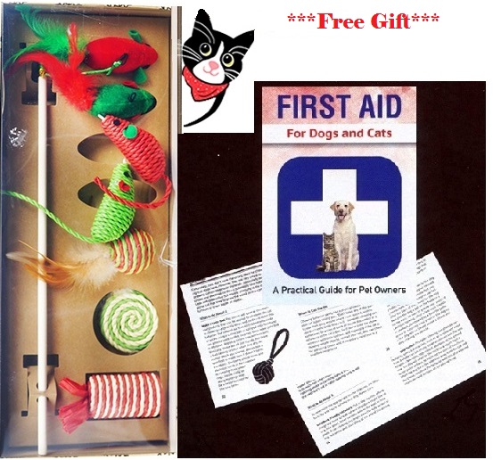 #M2983 Holiday Cat Gift Box 16